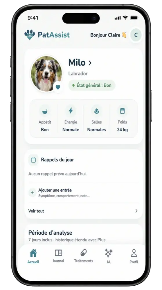 Tableau de bord PatAssist présentant le suivi santé d’un animal